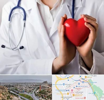 متخصص آریتمی قلب در معالی آباد شیراز 
