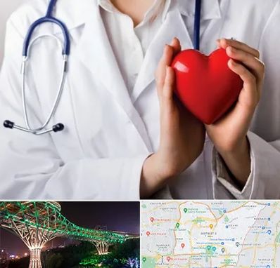 متخصص آریتمی قلب در منطقه 3 تهران 