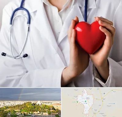 متخصص آریتمی قلب در تربت حیدریه