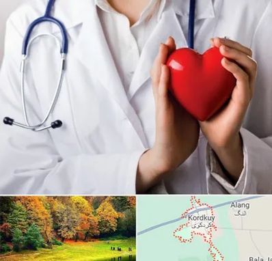 متخصص آریتمی قلب در کردکوی