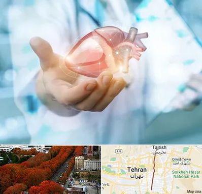 دکتر الکتروفیزیولوژی بالینی قلب در ولیعصر 
