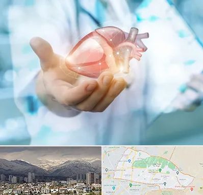 دکتر الکتروفیزیولوژی بالینی قلب در منطقه 4 تهران