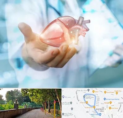 دکتر الکتروفیزیولوژی بالینی قلب در بلوار گیلان رشت 