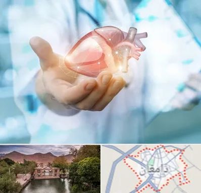 دکتر الکتروفیزیولوژی بالینی قلب در دامغان