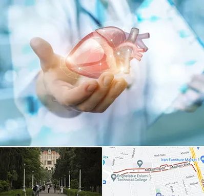 دکتر الکتروفیزیولوژی بالینی قلب در بلوار معلم رشت 