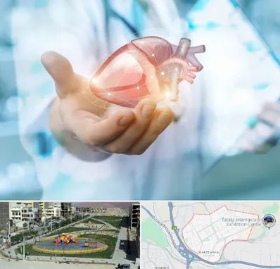 دکتر الکتروفیزیولوژی بالینی قلب در مرزداران تبریز 