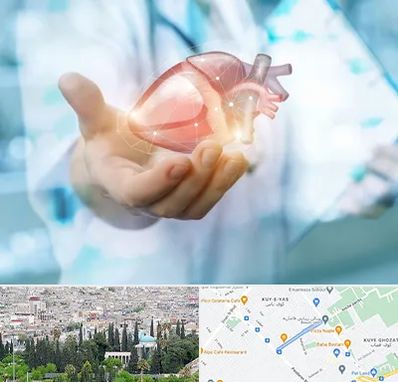 دکتر الکتروفیزیولوژی بالینی قلب در محلاتی شیراز 