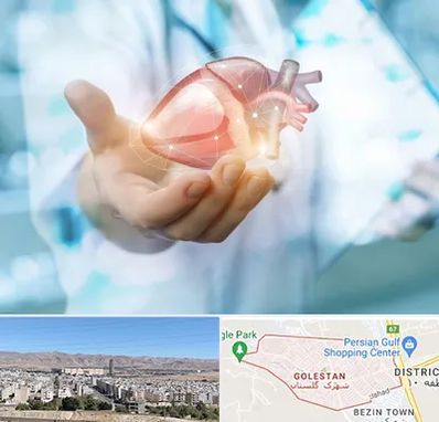 دکتر الکتروفیزیولوژی بالینی قلب در شهرک گلستان شیراز 