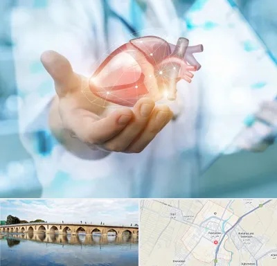 دکتر الکتروفیزیولوژی بالینی قلب در فلاورجان