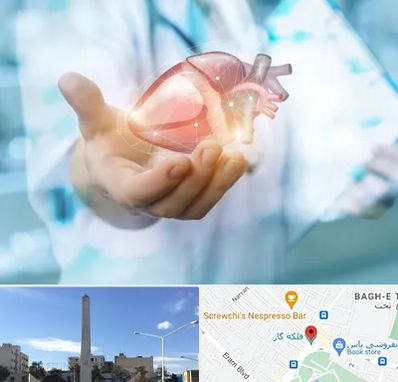 دکتر الکتروفیزیولوژی بالینی قلب در فلکه گاز شیراز 