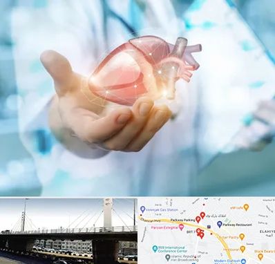 دکتر الکتروفیزیولوژی بالینی قلب در پارک وی 
