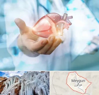 دکتر الکتروفیزیولوژی بالینی قلب در میگون