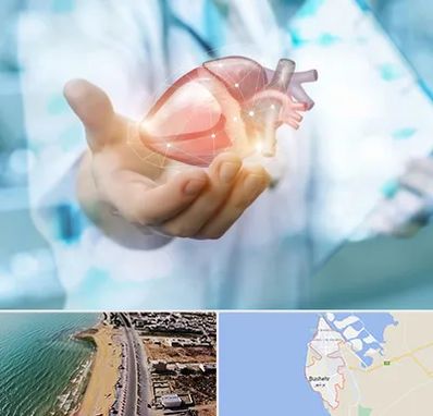 دکتر الکتروفیزیولوژی بالینی قلب در بوشهر