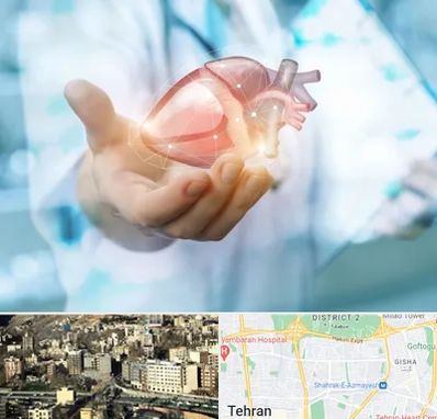دکتر الکتروفیزیولوژی بالینی قلب در مرزداران 
