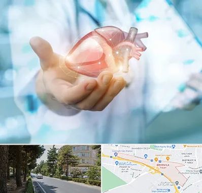 دکتر الکتروفیزیولوژی بالینی قلب در مهرویلا کرج 