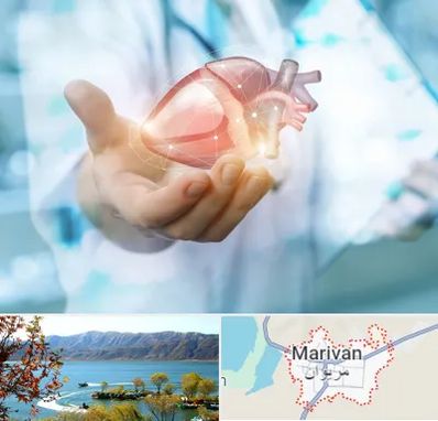 دکتر الکتروفیزیولوژی بالینی قلب در مریوان
