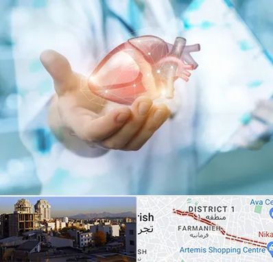 دکتر الکتروفیزیولوژی بالینی قلب در فرمانیه 