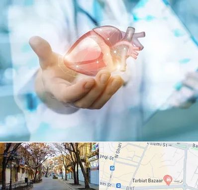 دکتر الکتروفیزیولوژی بالینی قلب در تربیت تبریز 