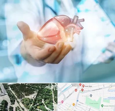 دکتر الکتروفیزیولوژی بالینی قلب در سالاریه قم 