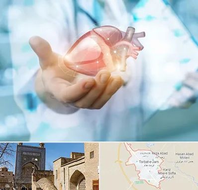 دکتر الکتروفیزیولوژی بالینی قلب در تربت جام
