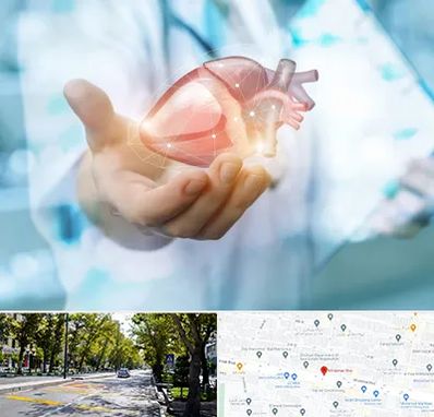 دکتر الکتروفیزیولوژی بالینی قلب در میرداماد
