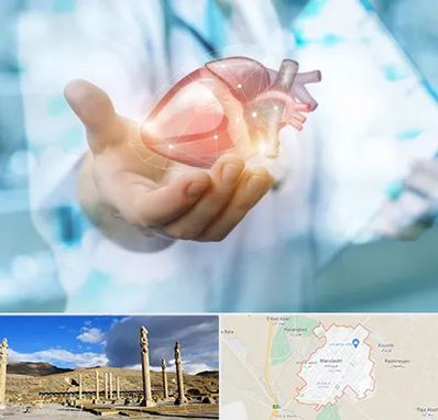دکتر الکتروفیزیولوژی بالینی قلب در مرودشت