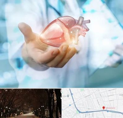 دکتر الکتروفیزیولوژی بالینی قلب در ابوریحان تبریز 