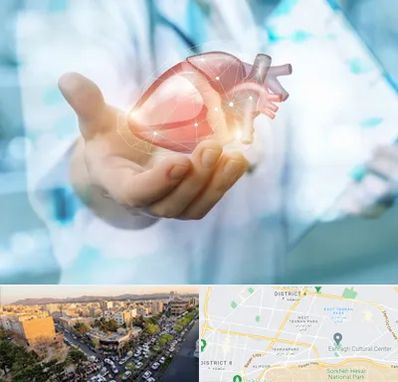 دکتر الکتروفیزیولوژی بالینی قلب در تهرانپارس 