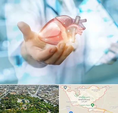 دکتر الکتروفیزیولوژی بالینی قلب در شهرکرد
