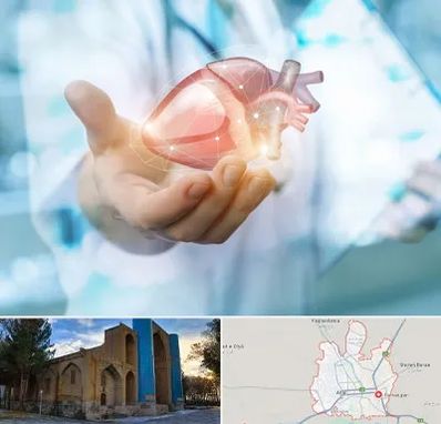 دکتر الکتروفیزیولوژی بالینی قلب در اهر