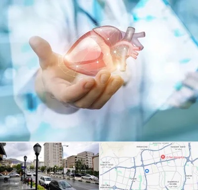 دکتر الکتروفیزیولوژی بالینی قلب در شمال غرب تهران