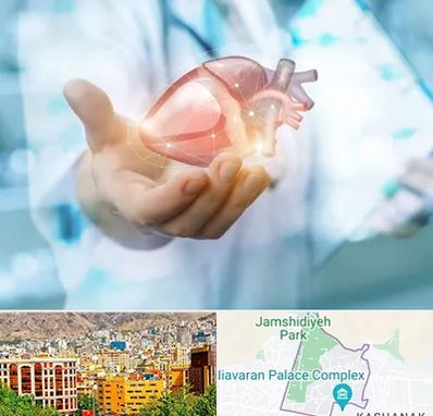دکتر الکتروفیزیولوژی بالینی قلب در نیاوران