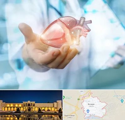 دکتر الکتروفیزیولوژی بالینی قلب در برازجان