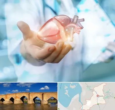 دکتر الکتروفیزیولوژی بالینی قلب در بناب