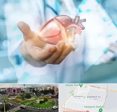 دکتر الکتروفیزیولوژی بالینی قلب در تهرانسر 