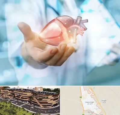 دکتر الکتروفیزیولوژی بالینی قلب در شاهین شهر