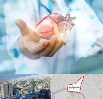 دکتر الکتروفیزیولوژی بالینی قلب در محمودیه