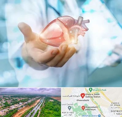 دکتر الکتروفیزیولوژی بالینی قلب در قصرالدشت شیراز 