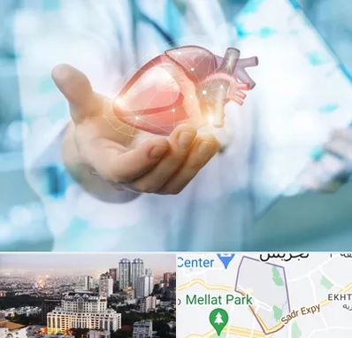 دکتر الکتروفیزیولوژی بالینی قلب در الهیه 