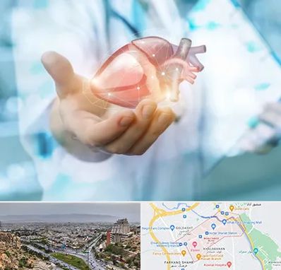 دکتر الکتروفیزیولوژی بالینی قلب در معالی آباد شیراز 