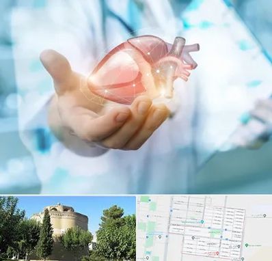 دکتر الکتروفیزیولوژی بالینی قلب در مرداویج اصفهان 