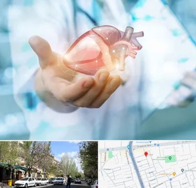 دکتر الکتروفیزیولوژی بالینی قلب در کوی فیروز تبریز 