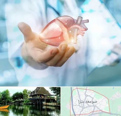 دکتر الکتروفیزیولوژی بالینی قلب در صومعه سرا