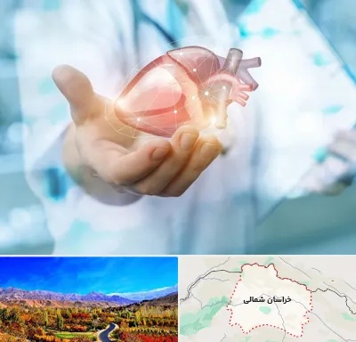 دکتر الکتروفیزیولوژی بالینی قلب در خراسان شمالی