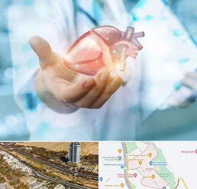 دکتر الکتروفیزیولوژی بالینی قلب در خیابان نیایش شیراز 