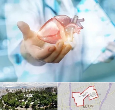 دکتر الکتروفیزیولوژی بالینی قلب در نیروی هوایی