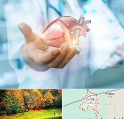 دکتر الکتروفیزیولوژی بالینی قلب در کردکوی