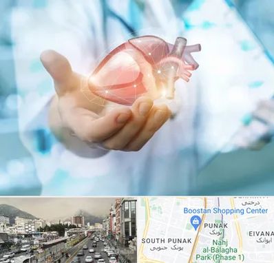 دکتر الکتروفیزیولوژی بالینی قلب در پونک 
