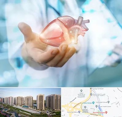 دکتر الکتروفیزیولوژی بالینی قلب در المپیک 