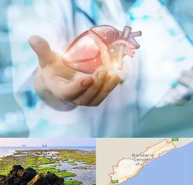 دکتر الکتروفیزیولوژی بالینی قلب در بندرلنگه